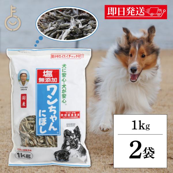犬 おやつ 塩無添加 国産 ワンちゃんにぼし お徳用 1kg 2個 サカモトにぼし 塩無添加 ワンち...