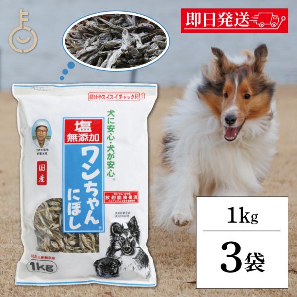 犬 おやつ 塩無添加 国産 ワンちゃんにぼし お徳用 1kg 3個 サカモトにぼし 塩無添加 ワンち...
