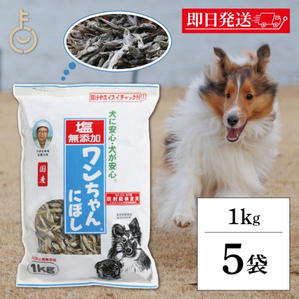 犬 おやつ 塩無添加 国産 ワンちゃんにぼし お徳用 1kg 5個 サカモトにぼし 塩無添加 ワンち...