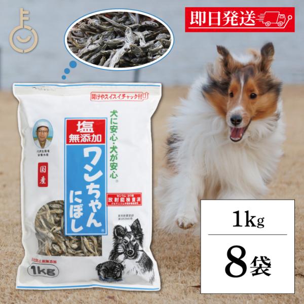 犬 おやつ 塩無添加 国産 ワンちゃんにぼし お徳用 1kg 8個 サカモトにぼし 塩無添加 ワンち...