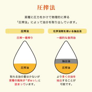 平田産業 一番搾り純正菜種 1250g 3本 ...の詳細画像3