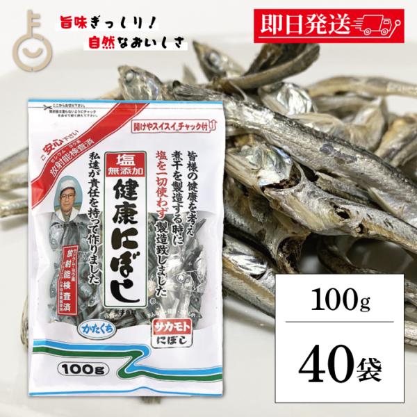 サカモト 塩無添加にぼし 100g 40個 保存料 酸化防止剤 化学調味料 無添加 小魚 魚 食べる...