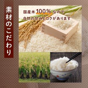 KEYROOM こうじっち 乾燥米こうじ 1k...の詳細画像4