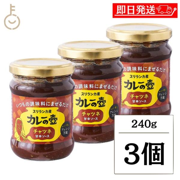 第三世界ショップ カレーの壺 チャツネ 240g 3個 カレー スパイス スパイスカレー マンゴー ...