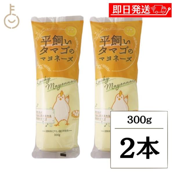 丸和油脂 平飼いタマゴのマヨネーズ 300g 2本 マヨネーズ 調味料 平飼いタマゴ 卵黄 卵黄タイ...