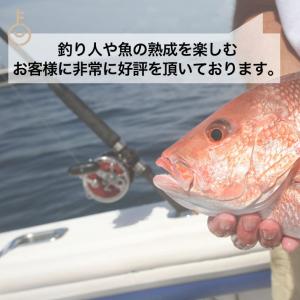 グリーンパーチ紙 100枚 8切 381mm×...の詳細画像2