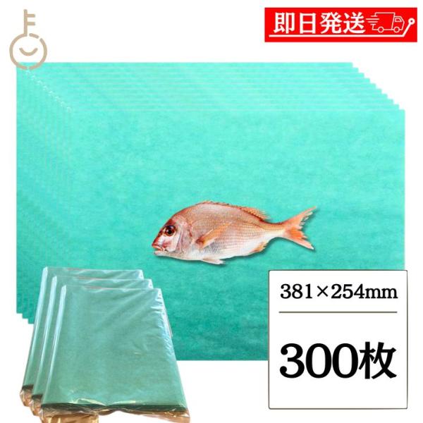 グリーンパーチ紙 100枚 8切 381mm×254mm 3個 キッチンペーパー ペーパータオル コ...