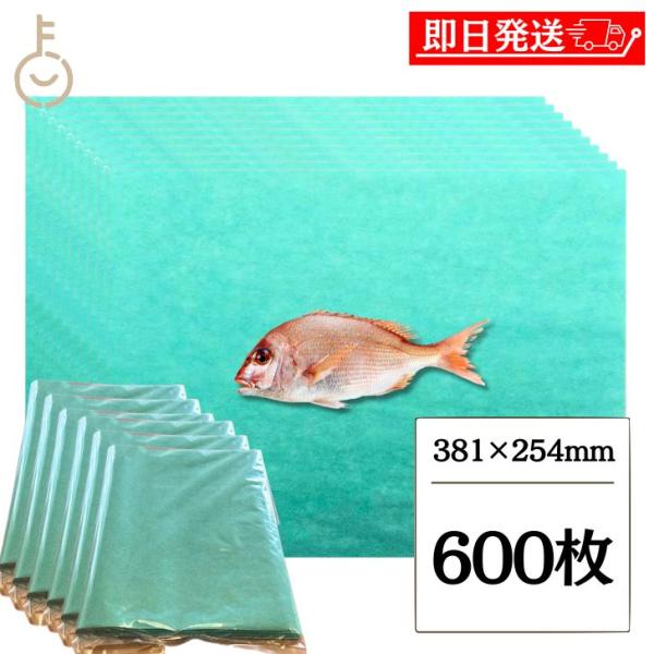 グリーンパーチ紙 100枚 8切 381mm×254mm 6個 キッチンペーパー ペーパータオル コ...