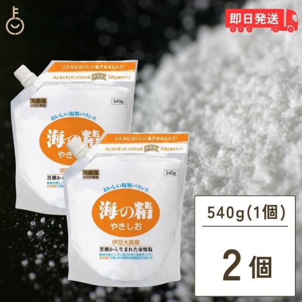海の精 やきしお スタンドパック 540g 2袋 塩 まとめ買い ランキング ポイント消化 爆買