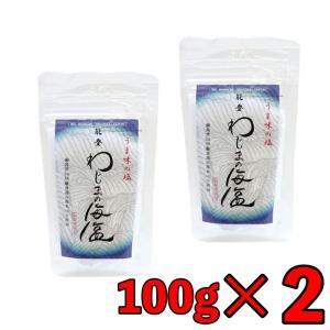 美味と健康 わじまの海塩 100g 2袋 海塩 塩 海水