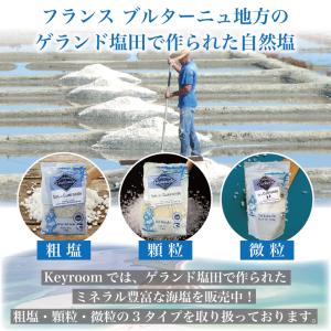 ゲランドの塩 微粒 600g エクストラファン...の詳細画像1