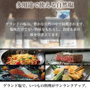 ゲランドの塩 微粒 600g エクストラファン...の詳細画像2