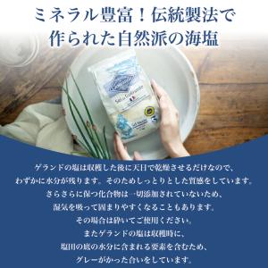 ゲランドの塩 微粒 600g エクストラファン...の詳細画像3