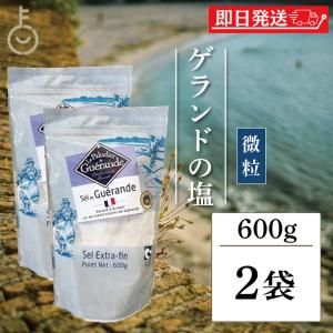 ゲランドの塩 微粒 600g 2袋 エクストラファン 調味料 食塩 セルマランドゲランド 製菓 製パン 業務用 まとめ買い ランキング ポイント消化 爆買 父の日 お中元