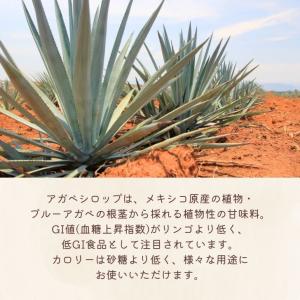 有機アガベシロップGOLD 330g 12本 ...の詳細画像5