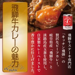 飛騨ハム 飛騨牛 カレー 飛騨牛使用ビーフカレ...の詳細画像1