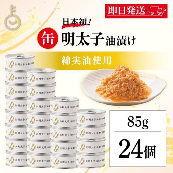 ふくや 缶明太子 油漬け 85g 24個 明太子 おつまみ めんたいこ 子明太子 油漬け 缶詰 まと...
