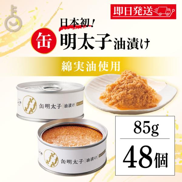 ふくや 缶明太子 油漬け 85g 48個 明太子 おつまみ めんたいこ 子明太子 油漬け 缶詰 まと...