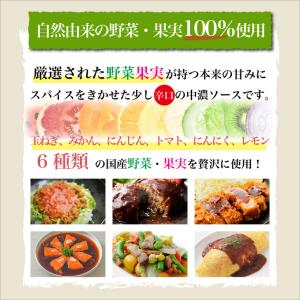 光食品 ヒカリ 中濃ソース 360ml 3個 ...の詳細画像1