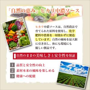 光食品 ヒカリ 中濃ソース 360ml 3個 ...の詳細画像2