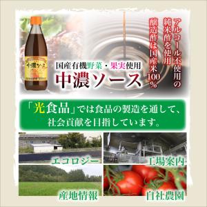 光食品 ヒカリ 中濃ソース 360ml 3個 ...の詳細画像3