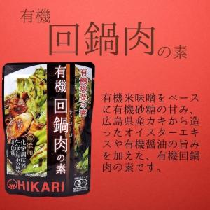 光食品 選べる 青椒肉絲の素 麻婆の素 回鍋肉...の詳細画像3