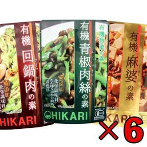 光食品 選べる 青椒肉絲の素 麻婆の素 回鍋肉の素 6袋 レトルト まとめ買い ランキング ポイント消化 爆買 父の日 お中元