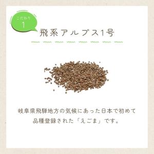 国産 えごま油 サプリ 90粒入 (1日3粒)...の詳細画像1