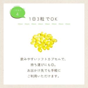 国産 えごま油 サプリ 90粒入 (1日3粒)...の詳細画像4