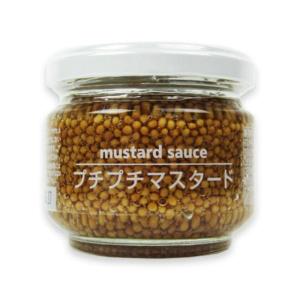 FIND NEWS ファインドニューズ プチプチマスタード 100g : にっぽん