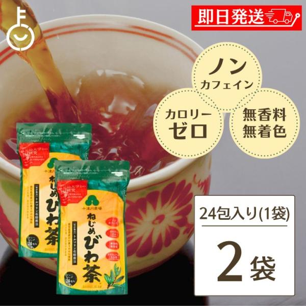 十津川農場 ねじめびわ茶 2g*24包入 2個 根占枇杷茶 鹿児島大学 十津川農場