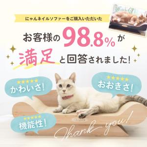 【7kgの大型猫×とぎカスゼロ】 レビュー高評...の詳細画像1