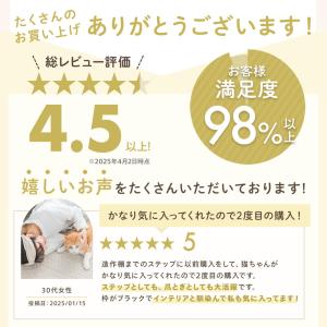 キャットタワー 猫 爪とぎ ハウス トンネル ...の詳細画像1