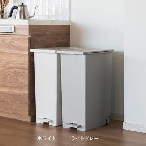 ゴミ箱 45L 両開き 蓋付き ペダル式 分別...の詳細画像2