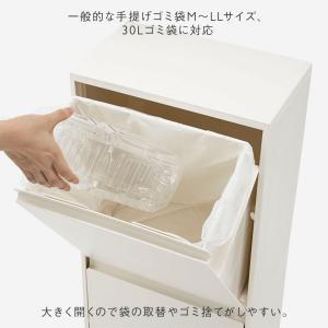ゴミ箱 40L 収納ボックス 分別ゴミ箱 ワゴ...の詳細画像4