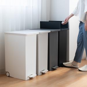 ゴミ箱 45L 両開き 蓋付き ペダル式 分別...の詳細画像1