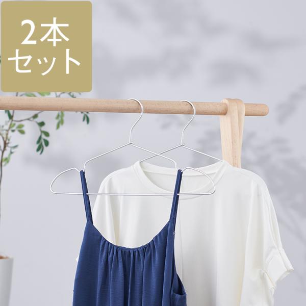 ハンガーセット 衣類ハンガー スリム[アルミハンガー バータイプ ひも掛け付シャツ・Tシャツ用 2本...