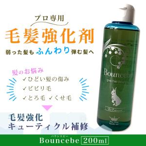 弱った髪を強くする ビビり毛 とろ毛 毛髪強化剤 美容室専売 髪風船 バウンスビー200ml