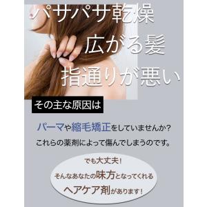 トリートメント ツヤ髪 保湿 洗い流さないヘア...の詳細画像2