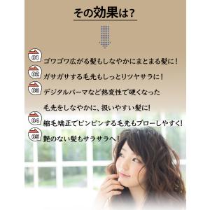 トリートメント ツヤ髪 保湿 洗い流さないヘア...の詳細画像3