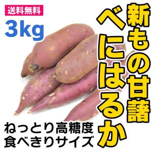 さつまいも 3kg 紅はるか べにはるか 生芋 茨城県産