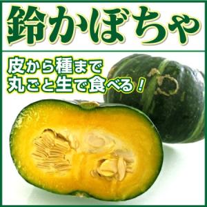 かぼちゃ サラダかぼちゃ 鈴かぼちゃ カボチャ 1玉 生食用