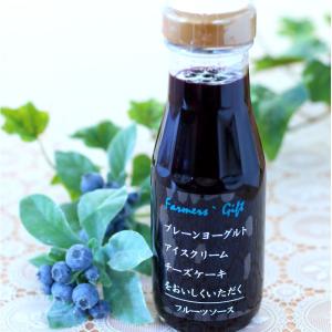 フルーツソース ブルーベリー 225ｇ レギュラーサイズ
