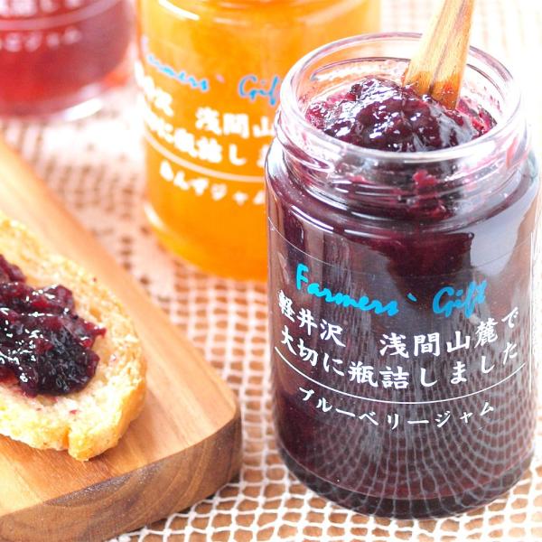 信州産レギュラージャム ブルーベリー 140g プレザーブスタイル 瓶詰 フルーツ トースト 朝食 ...