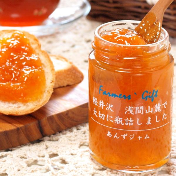 信州産レギュラージャム あんず 140g　プレザーブスタイル あんずの里 千曲市産 瓶詰 フルーツ ...