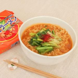 【三養】三養ラーメン-日本語版 韓国ラーメン ...の詳細画像3