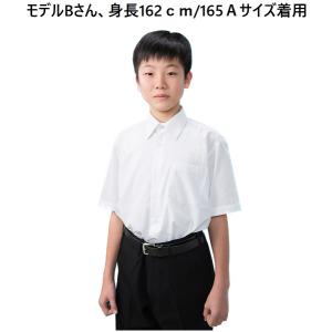 スクールシャツ 男子 半袖 白2枚セット 形態...の詳細画像4