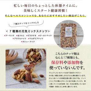 ミックスナッツ 素焼き 無塩 無添加 ナッツ ...の詳細画像1