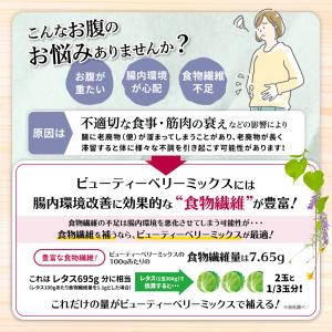 元気のたね 無添加 砂糖不使用 ビューティー ...の詳細画像4