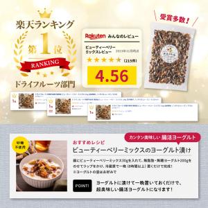 元気のたね 無添加 砂糖不使用 ビューティー ...の詳細画像5